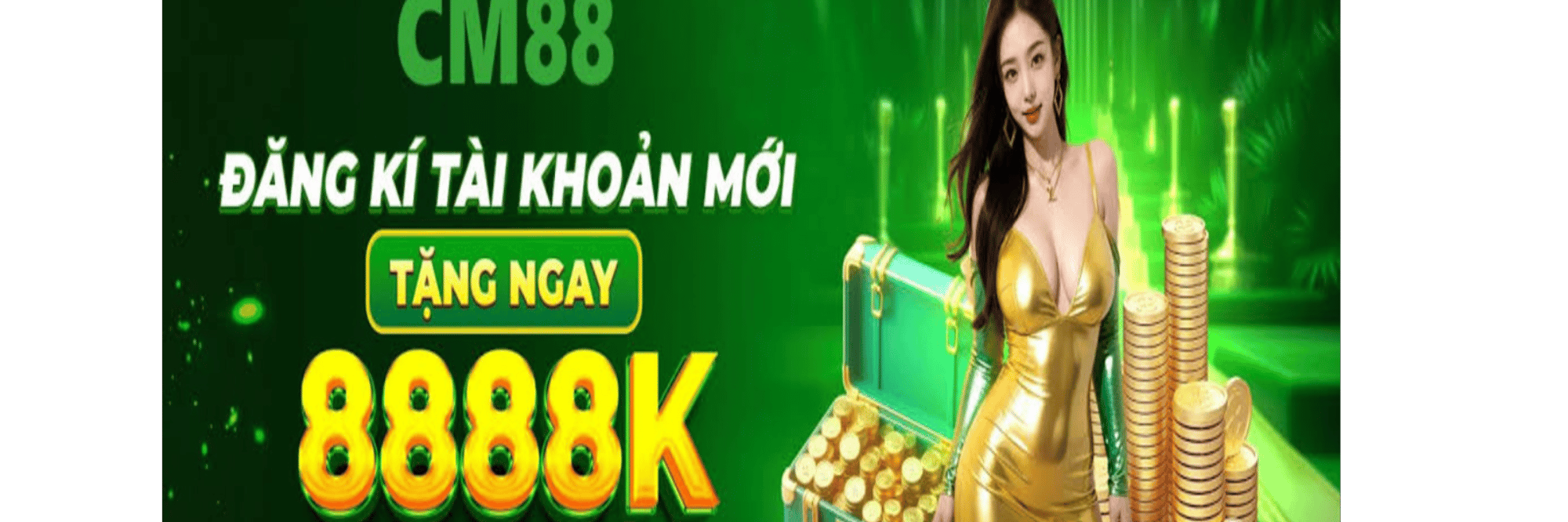 profile header