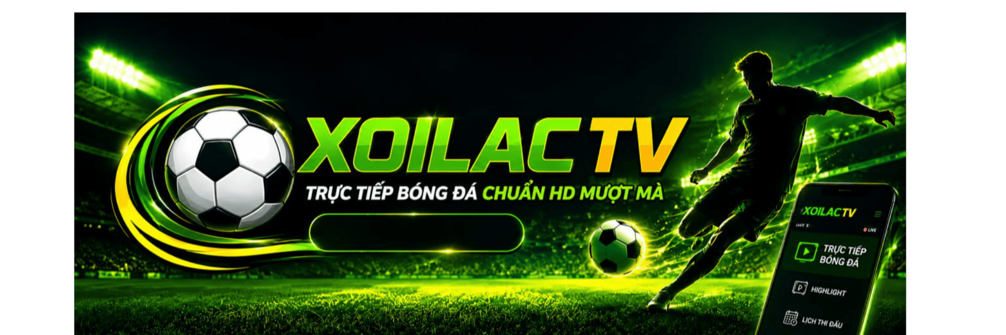profile header