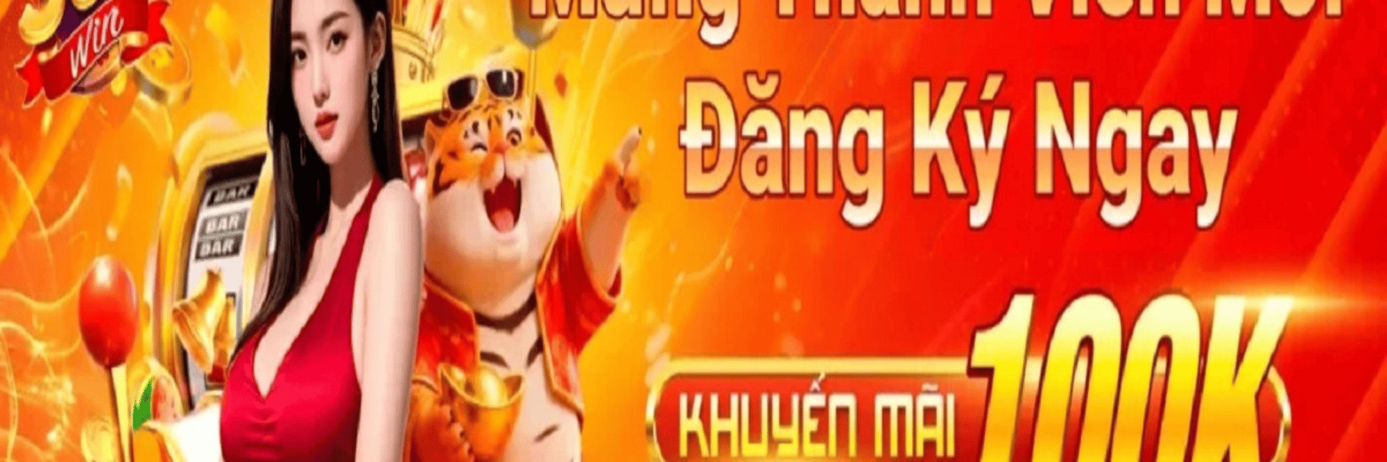 profile header