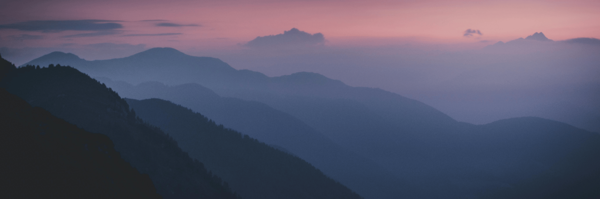 profile header