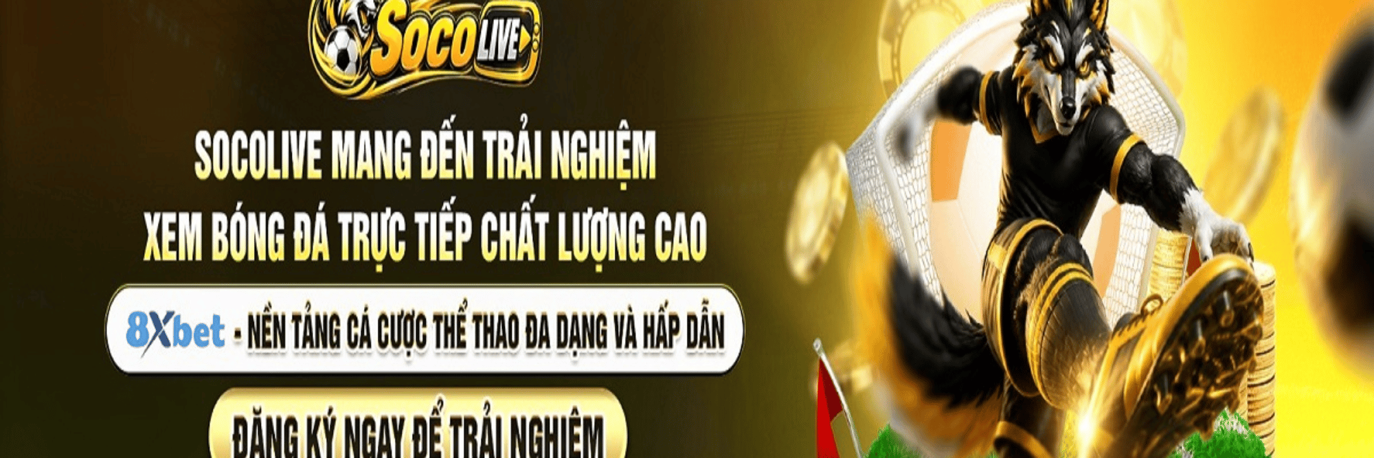 profile header