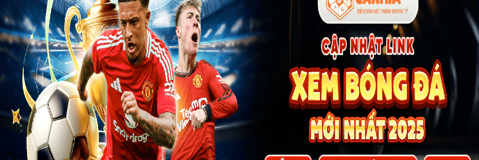 profile header