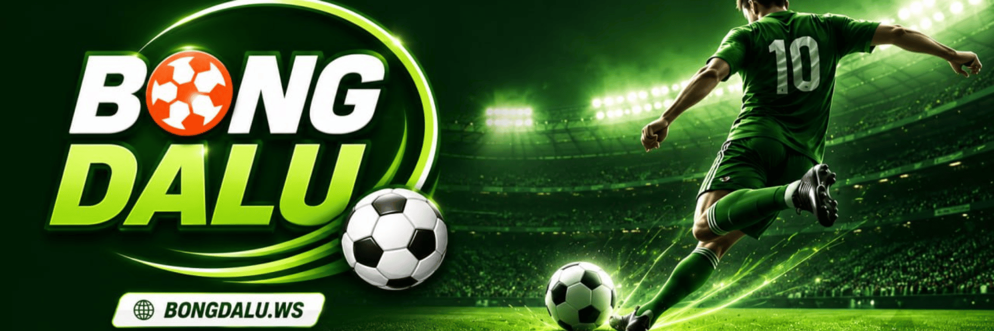profile header