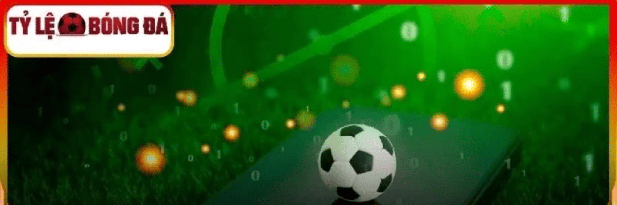 profile header
