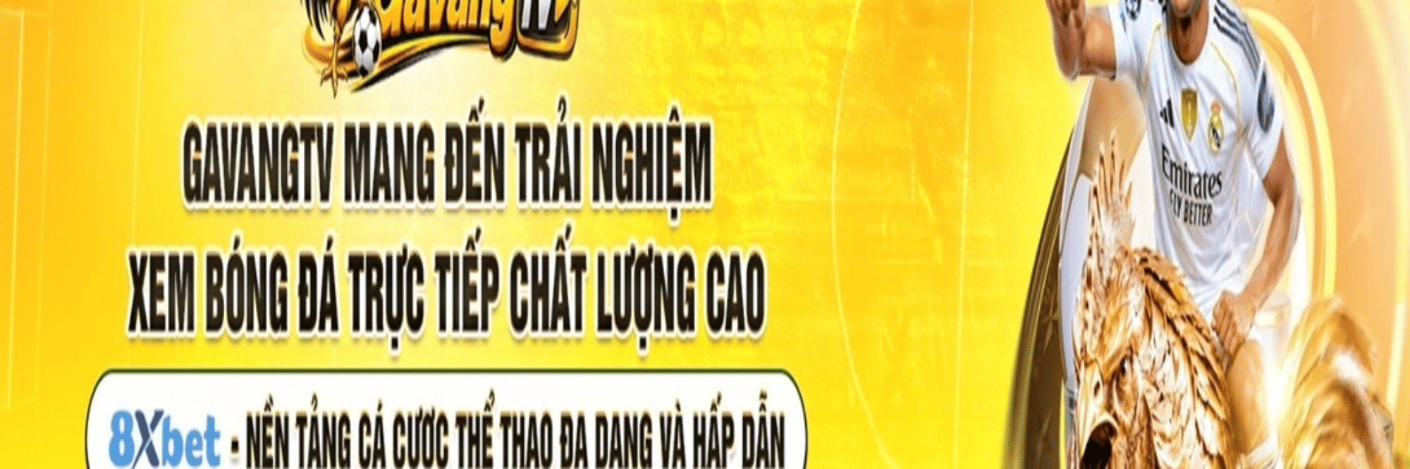 profile header