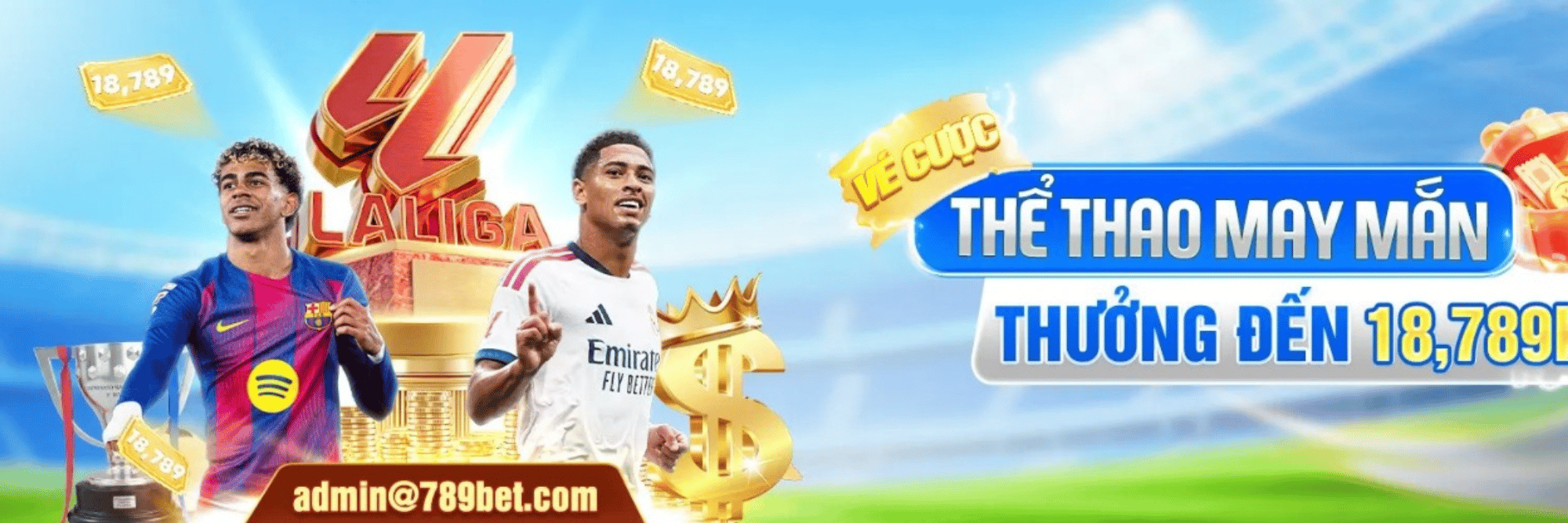 profile header