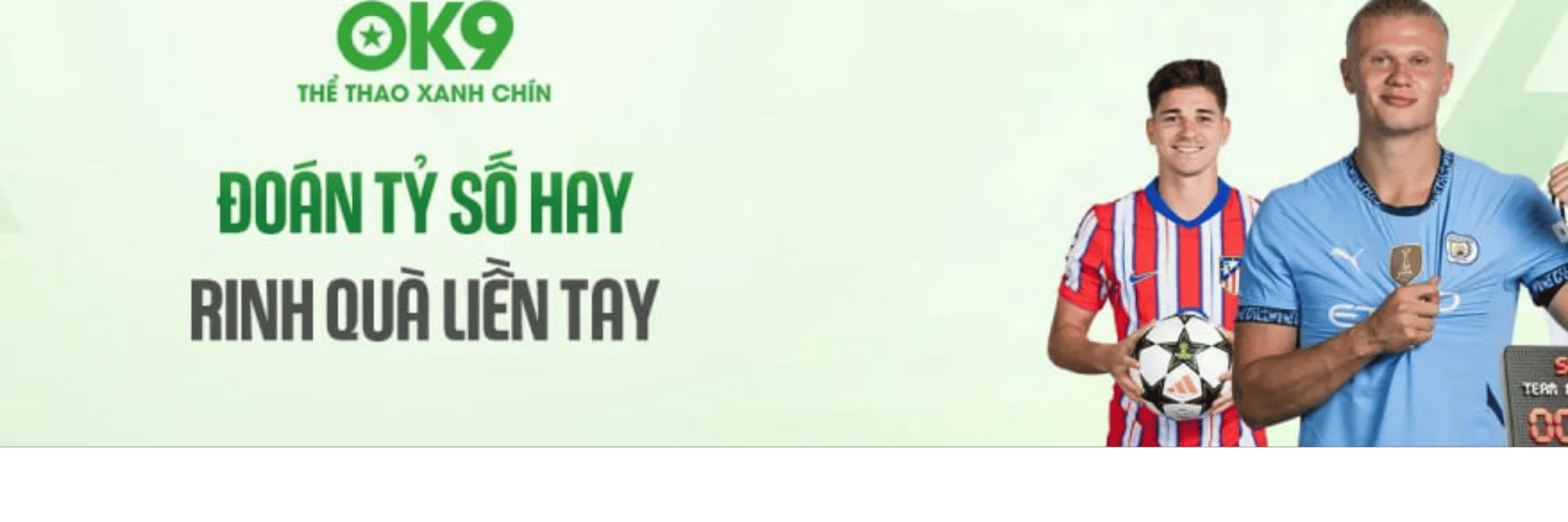 profile header