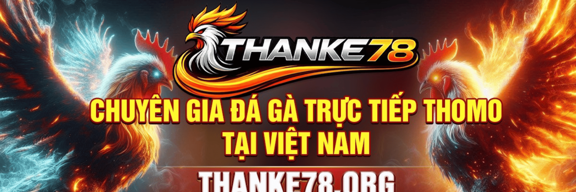 profile header