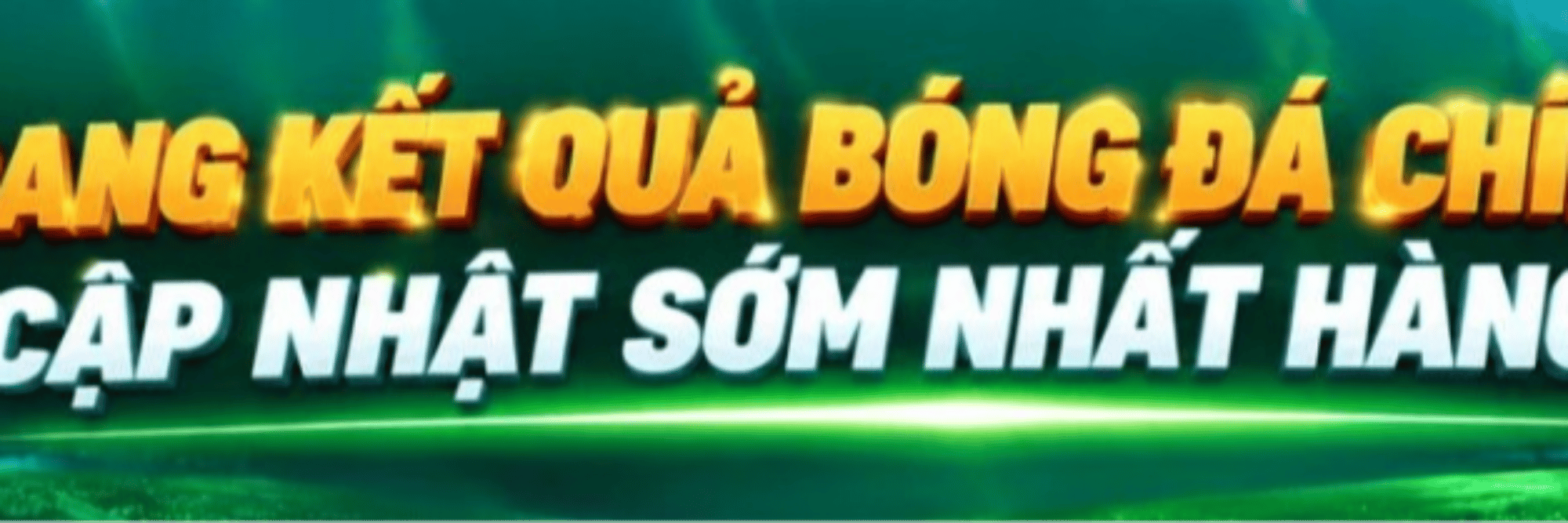 profile header