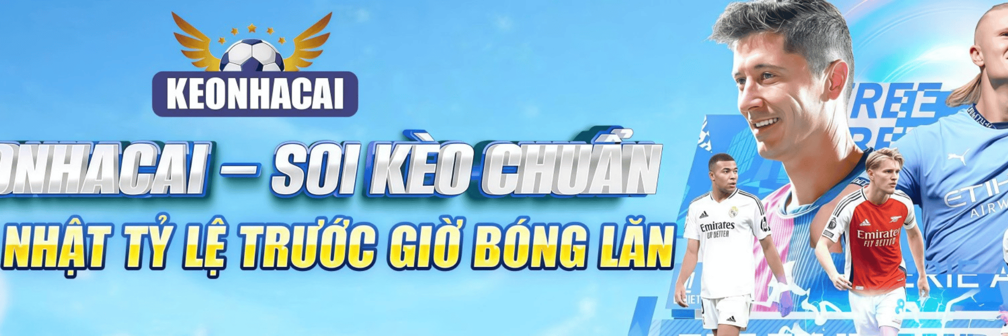 profile header