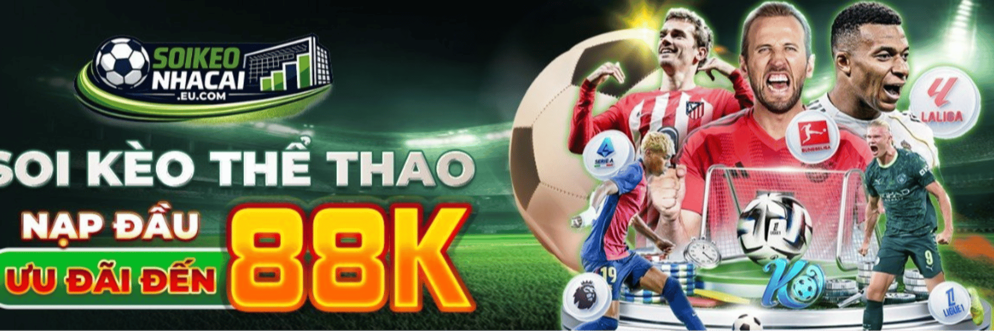 profile header