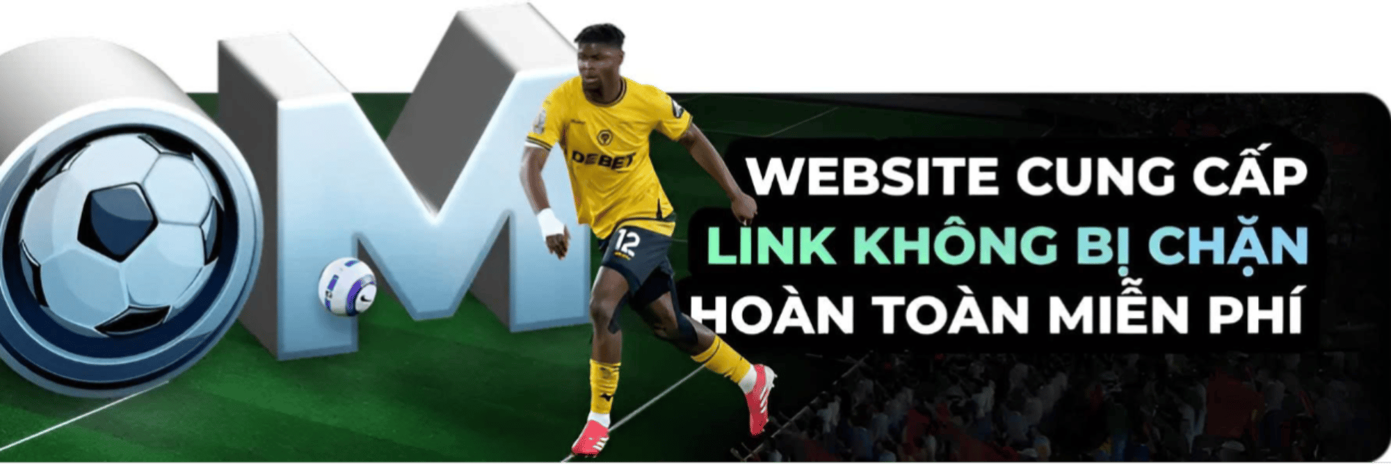 profile header