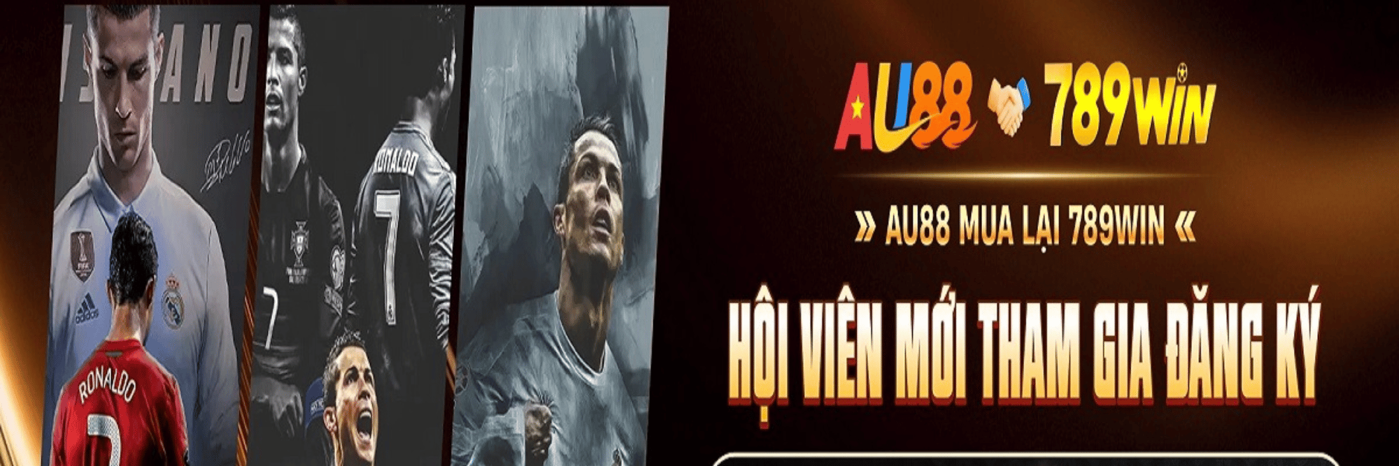 profile header