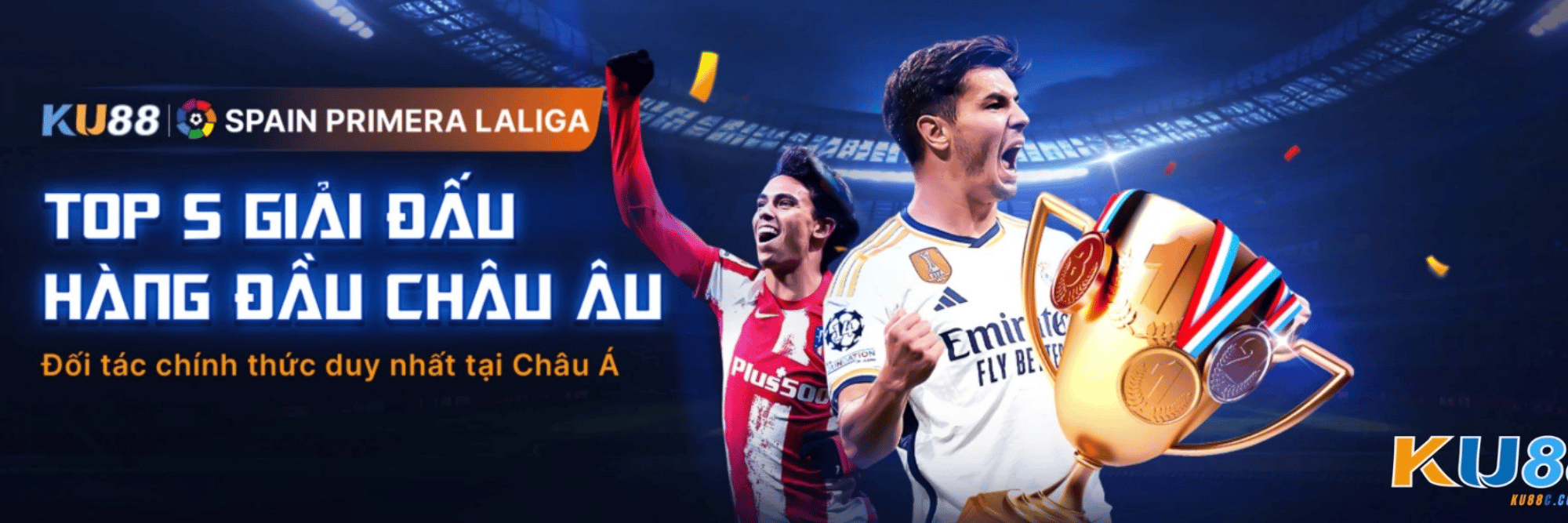 profile header