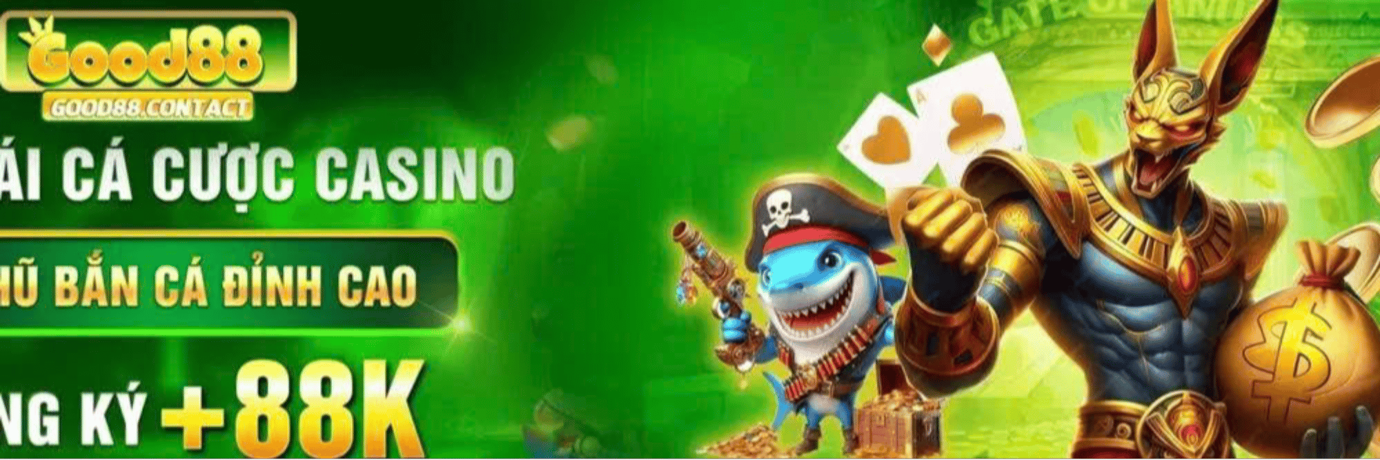 profile header