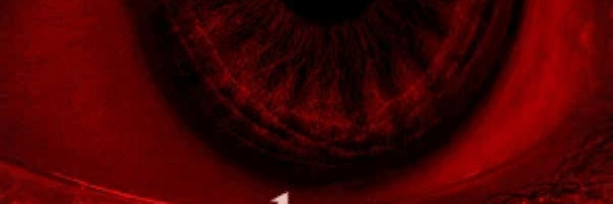 profile header