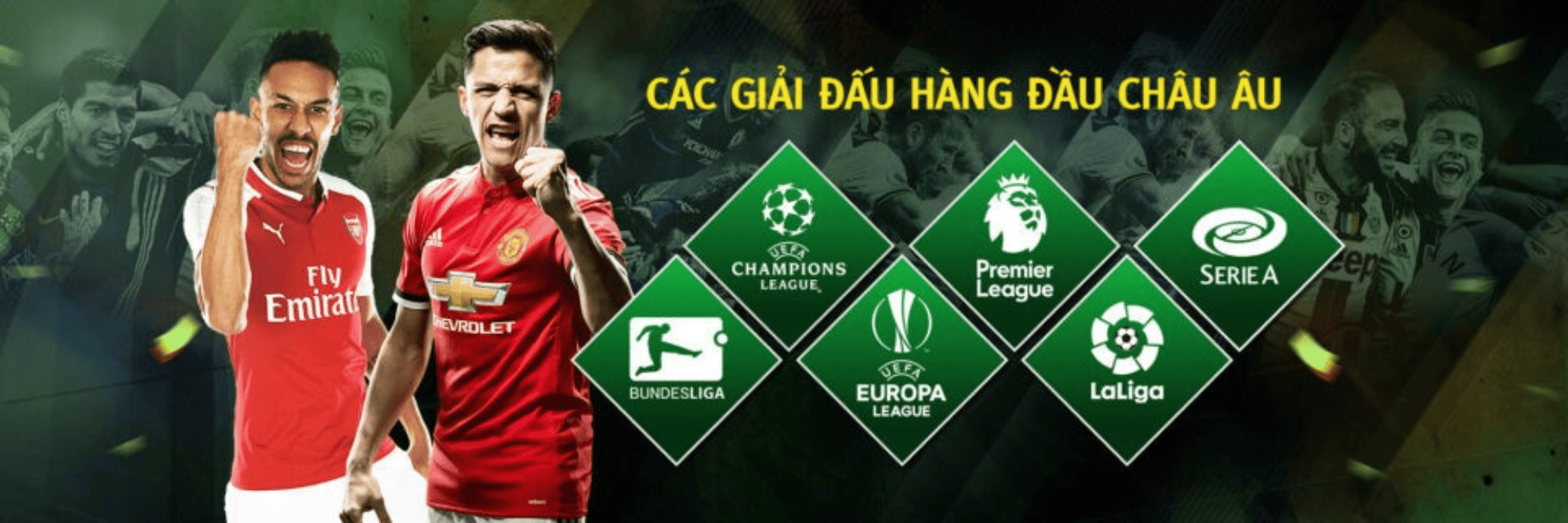 profile header
