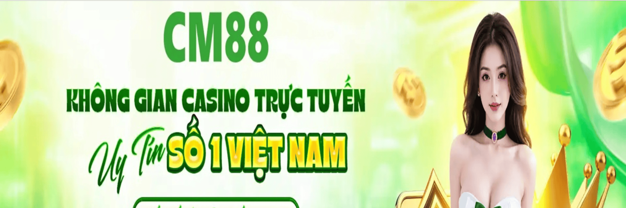 profile header