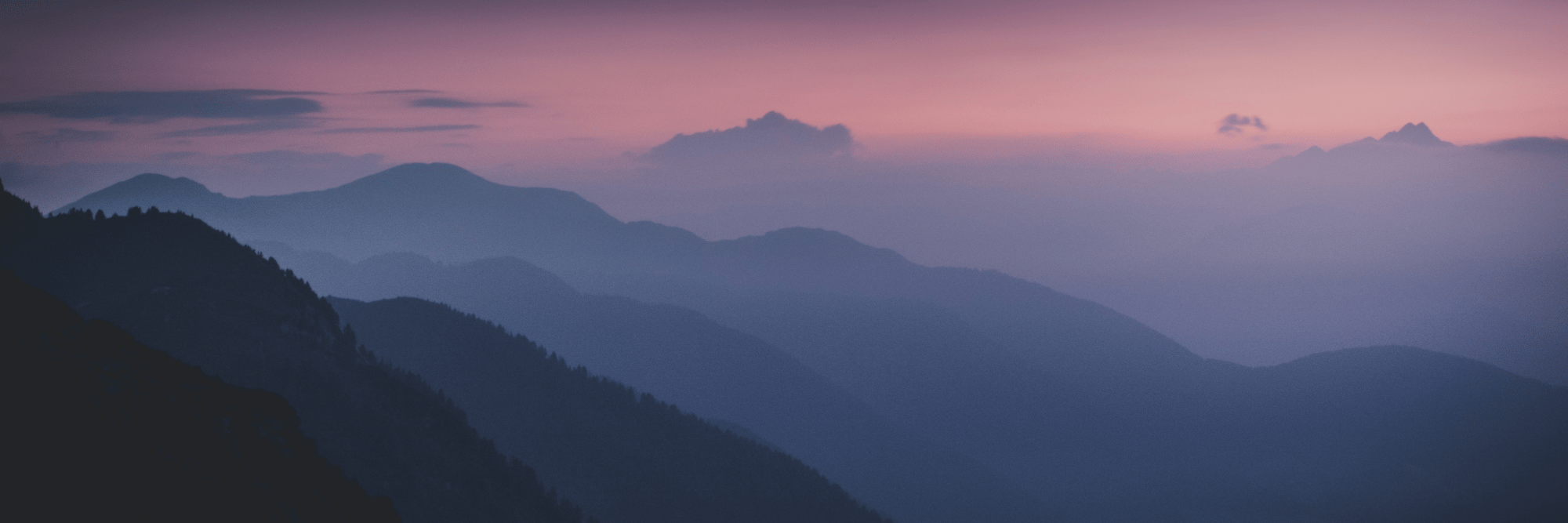 profile header