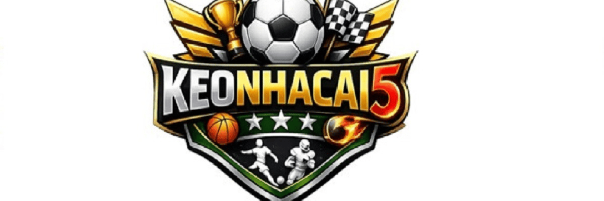 profile header