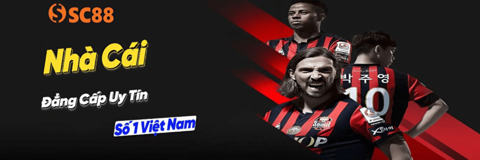 profile header