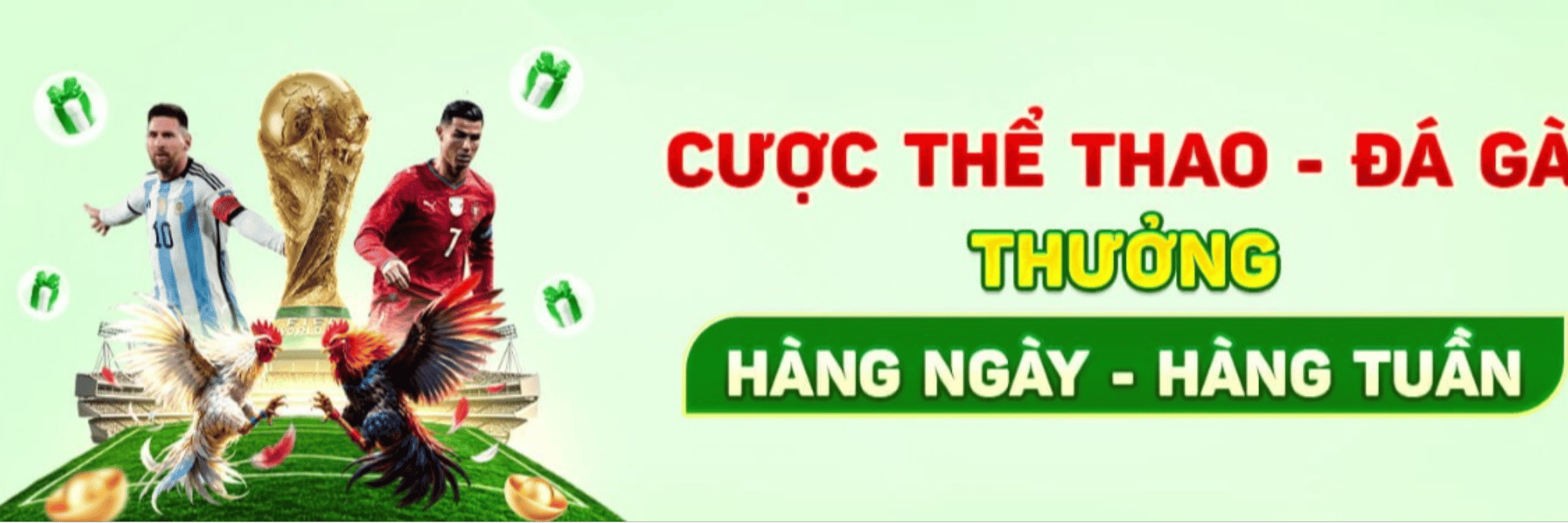 profile header