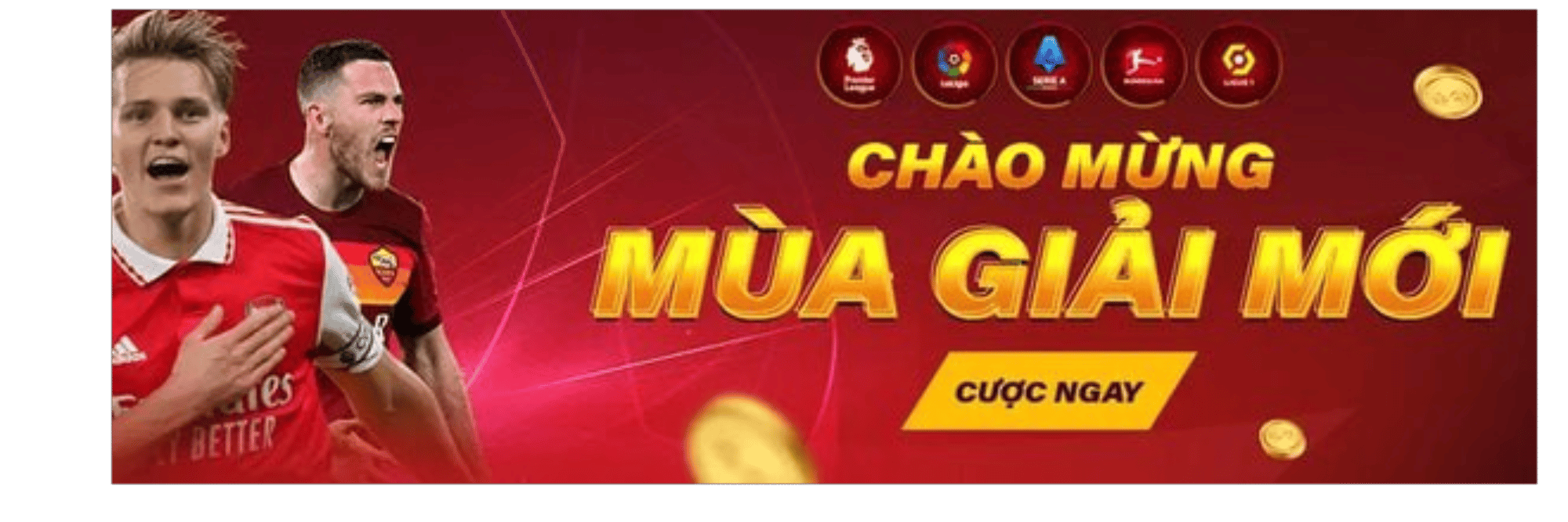 profile header