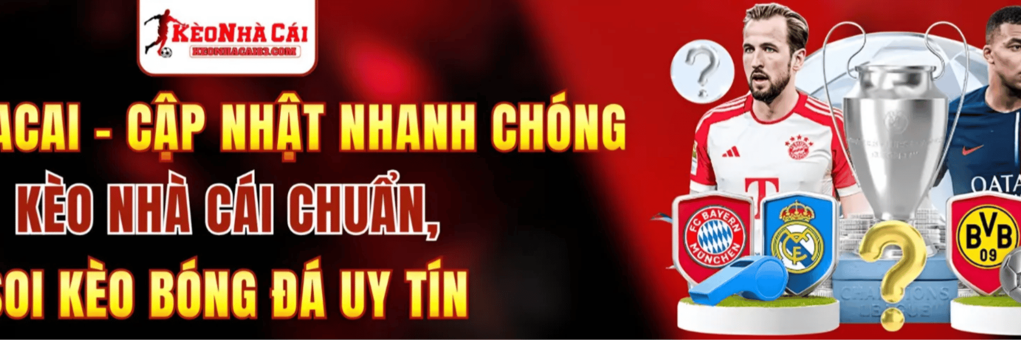 profile header