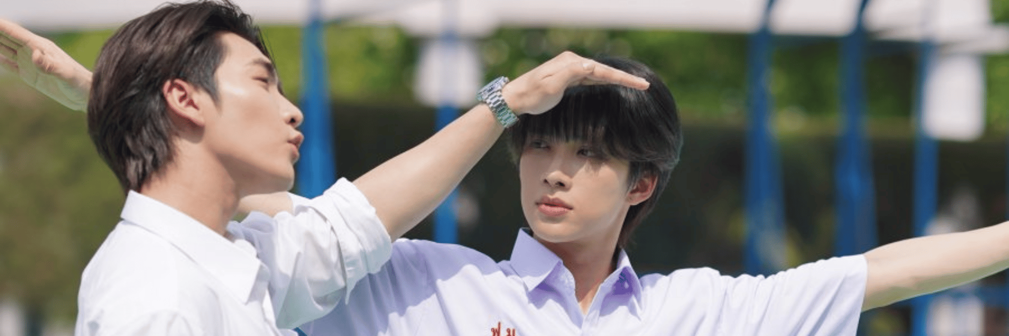 profile header