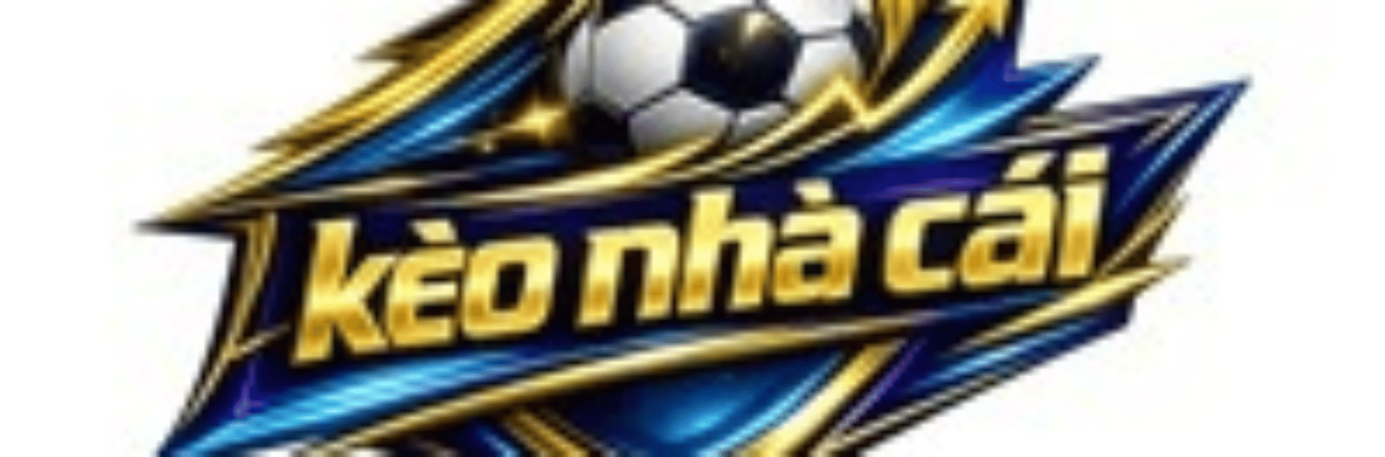 profile header