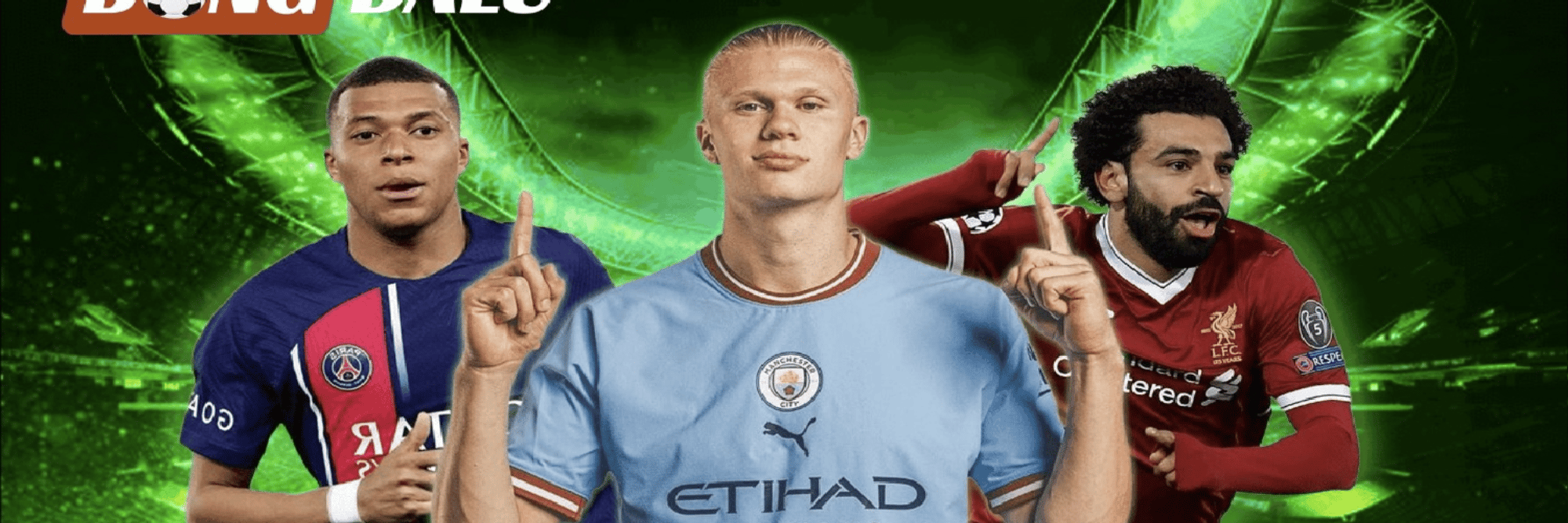 profile header