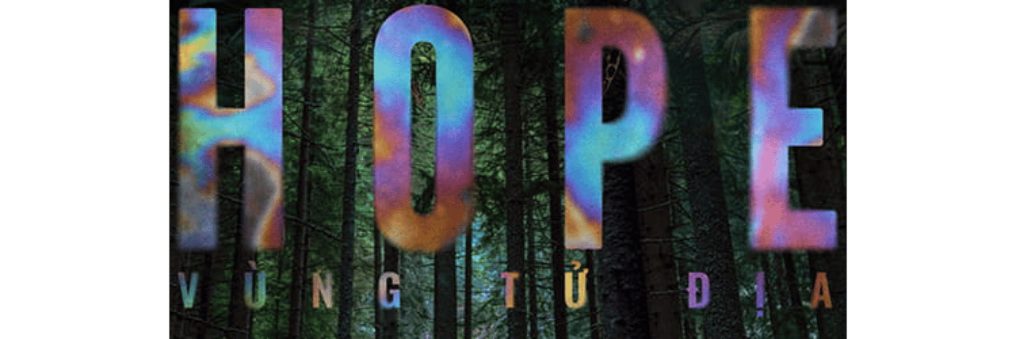 profile header