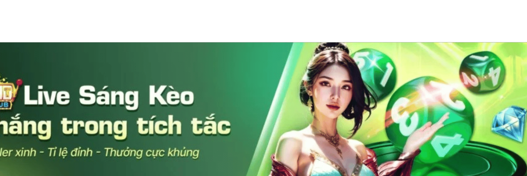 profile header