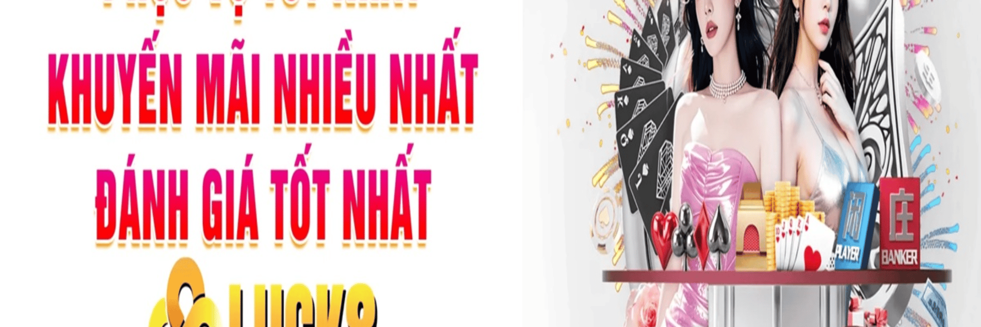 profile header