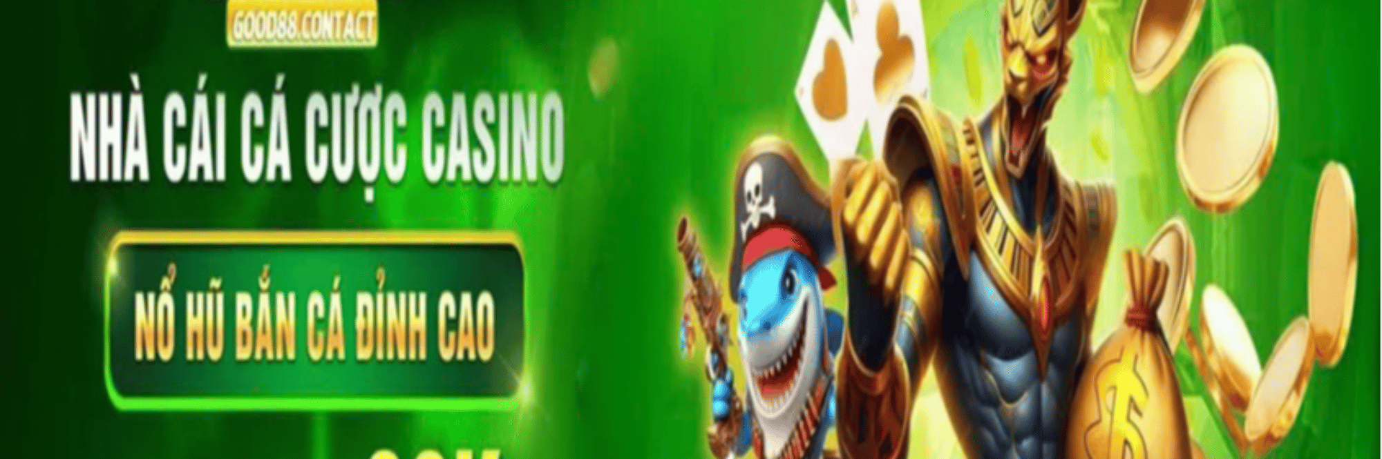 profile header