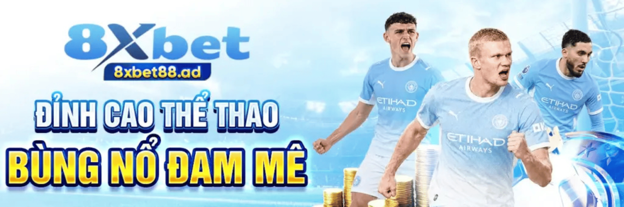 profile header