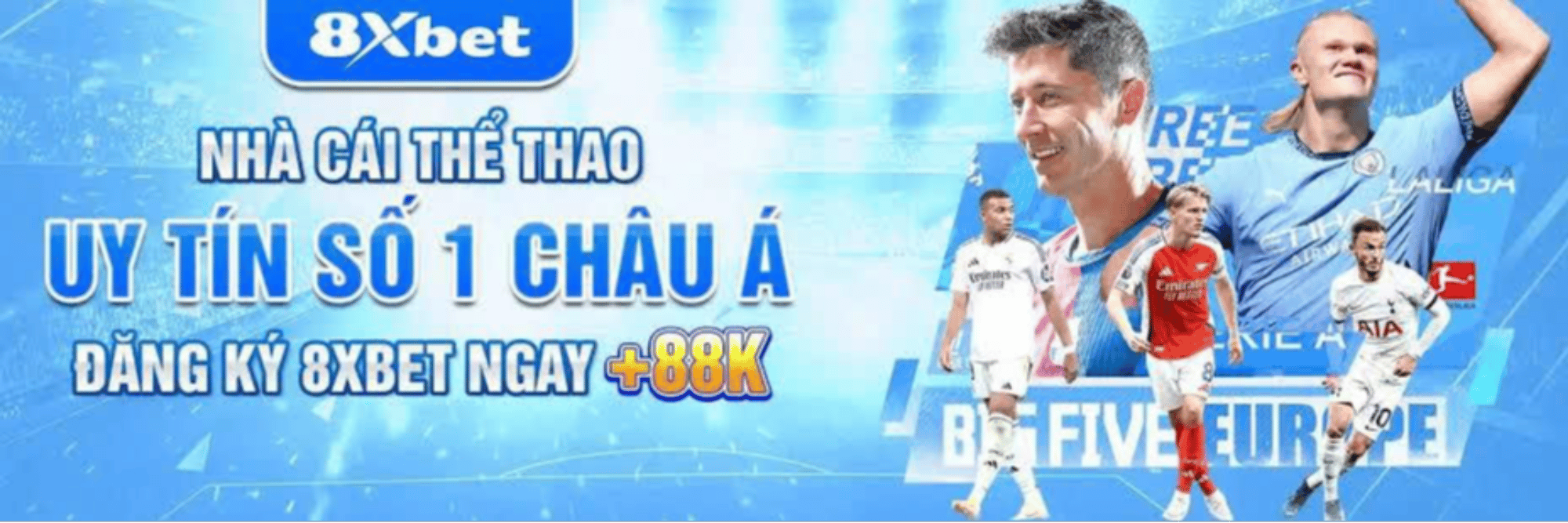 profile header