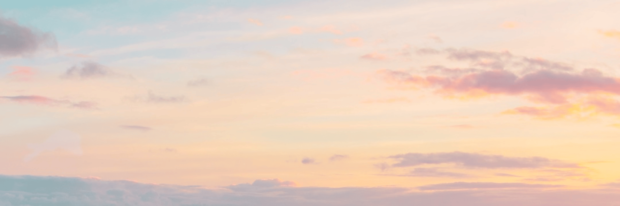 profile header