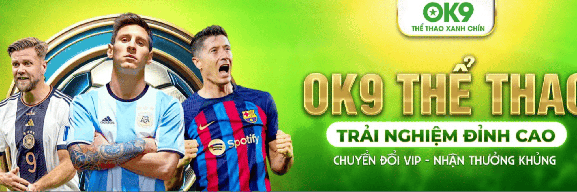 profile header