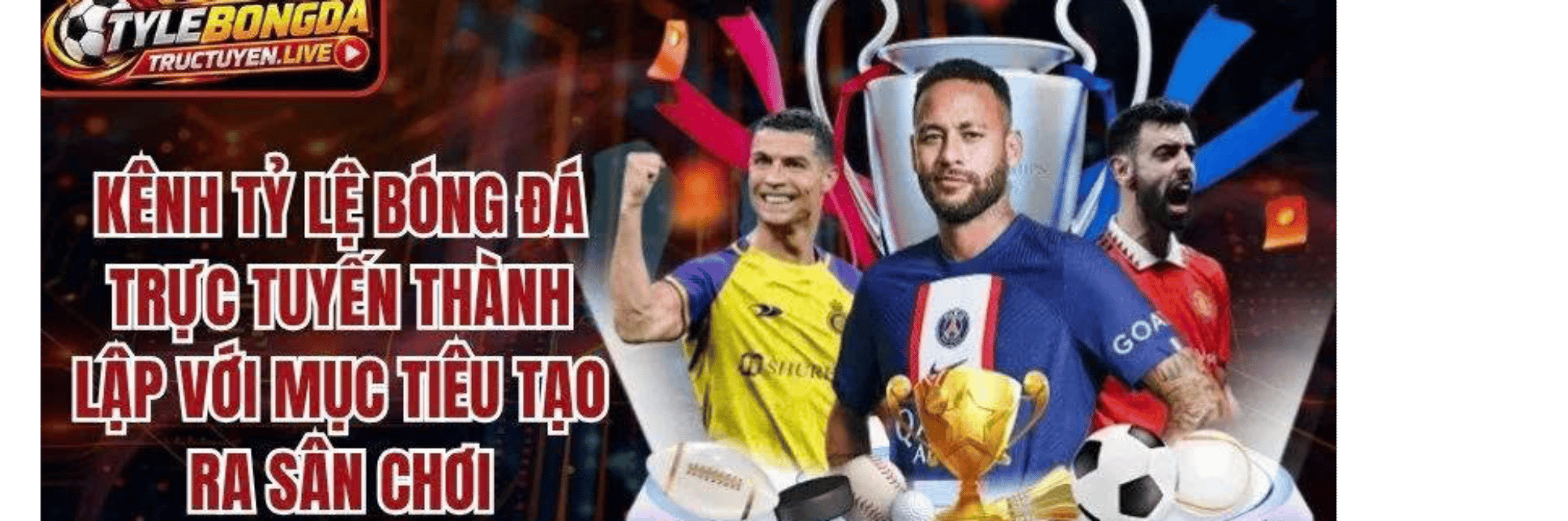 profile header