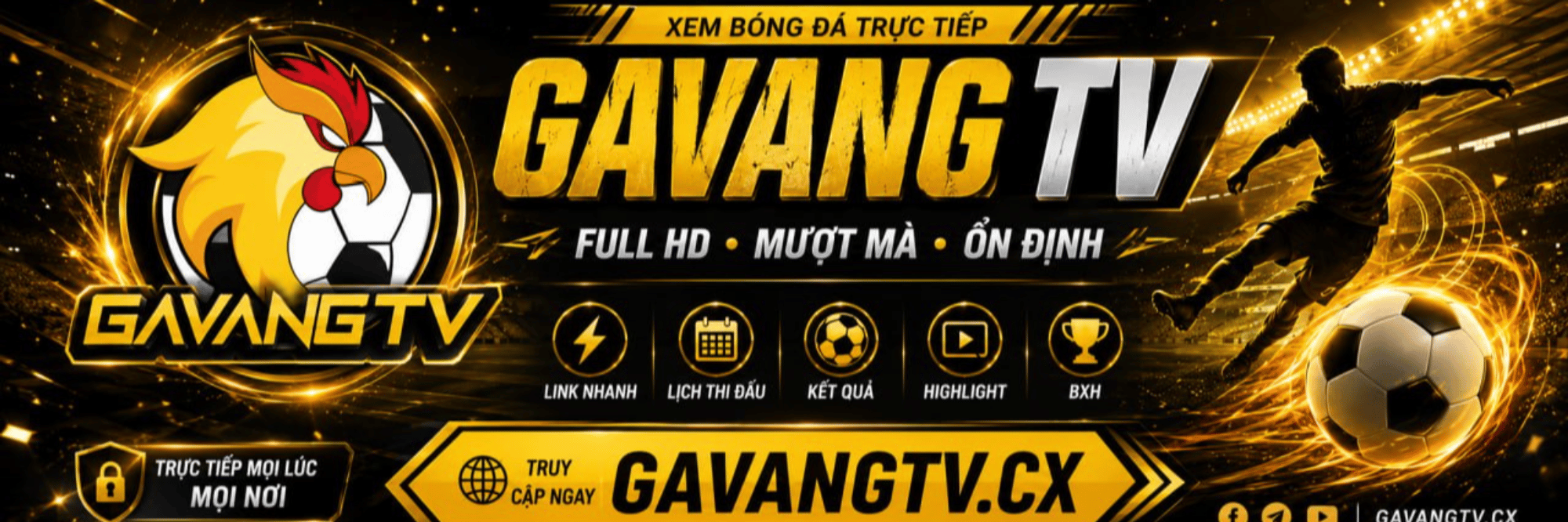 profile header