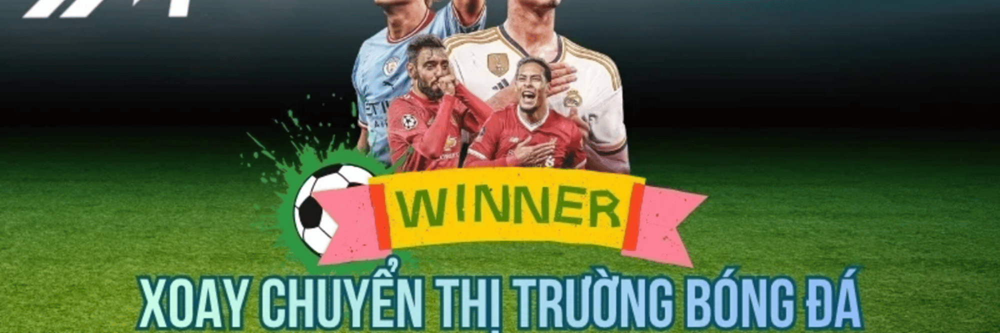 profile header