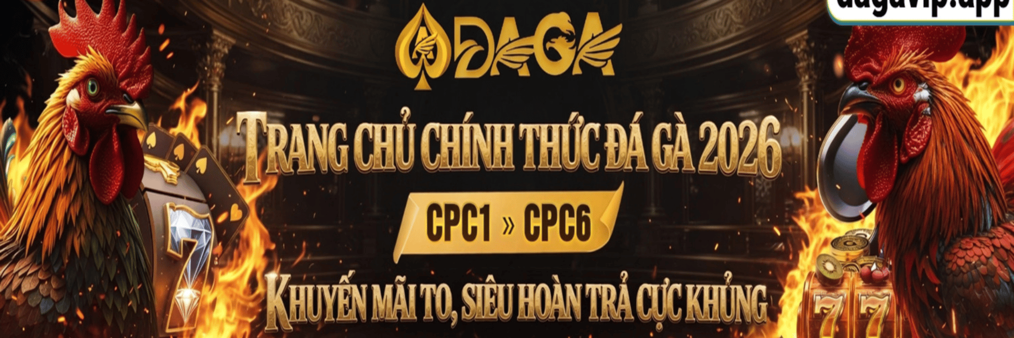 profile header